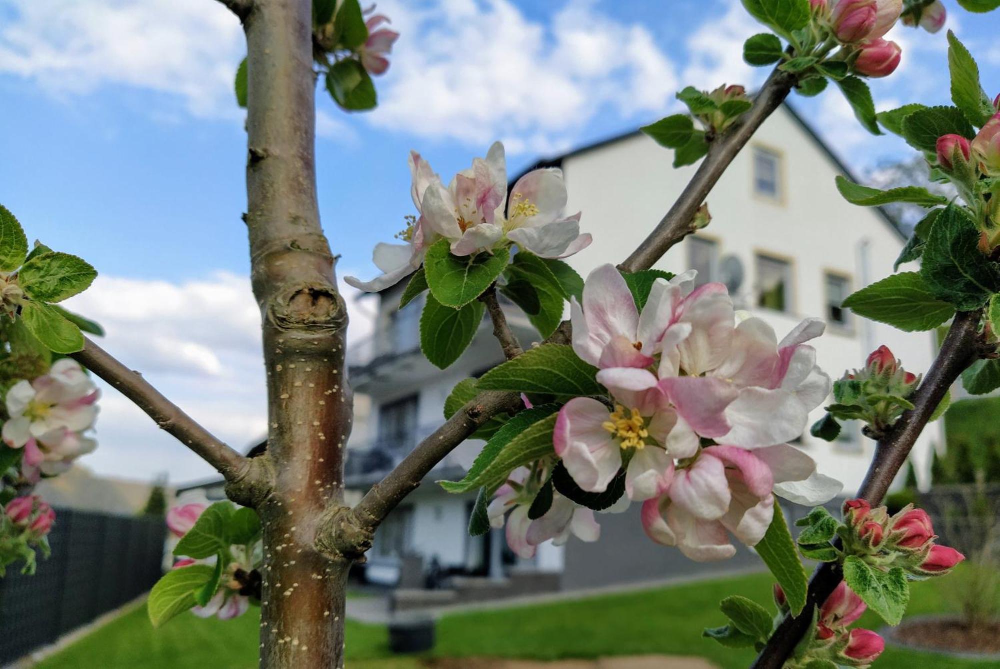 Appartamento Kleine Auszeit Cochem Esterno foto